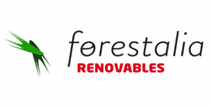 Forestalia hired Agere Energy and Infrastructure Partners to advise on potential debt deals